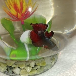 Meet your Posher, Marianne